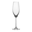 Sante Flute Champagne