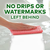 Scotch Brite Professional Sponge Wipe, 15x18 cm - Pack of 4 Pcs