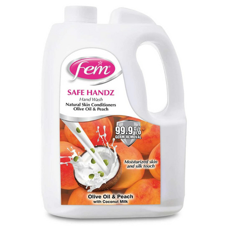 Fem Safe Handz Liquid Handwash, 5 L
