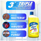 Lizol All In 1 Disinfectant Surface & Floor Cleaner, 975 ml