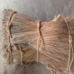 CO10 Bengal Loose Coconut Broom ( Kati Jhadu ), Mix Length - 1 kg