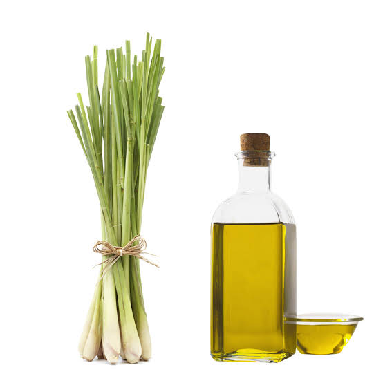 Citronella Essential Oil - Pure